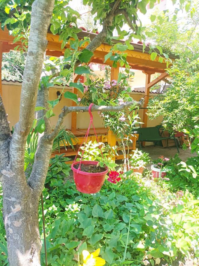 Kiki - Family Apartment Primorsko Exterior foto